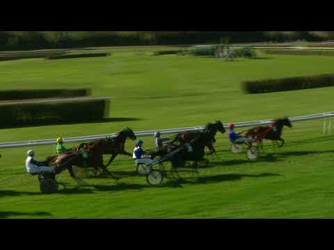 Dielsdorf/24.09.2023/Preis des Traberclub Regio Basel und Stall Allegra Racing Club