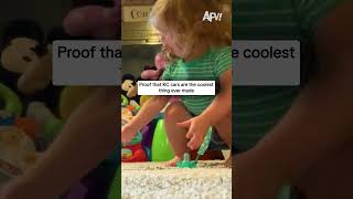 Proof that RC cars are the coolest thing ever made