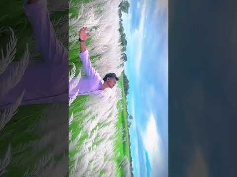Pacha Theeyanu Nee ll South South Video 2025 ll #rohitkumarpatra #south #shorts #explore #viral