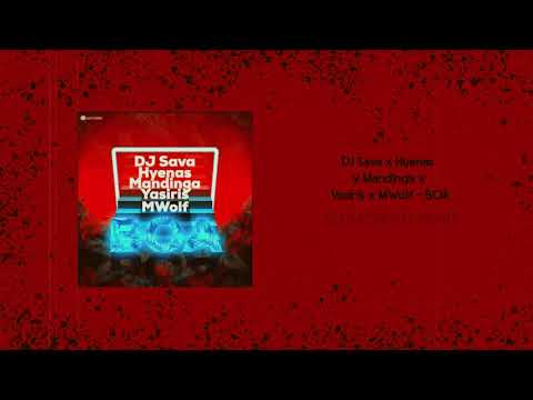 DJ Sava x Hyenas x Mandinga x Yasiris x MWolf - BOA (DJ Razvan G. REMIX)
