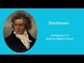 Ludwig van Beethoven - Symphony 3.3 Scherzo Allegro vivace