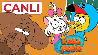 Kral Şakir Canlı Yayın 7/24 Full HD İzle 🔴 #canlıyayın
