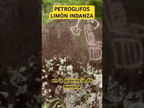 LOS PETROGLIFOS QUE NADIE ENTIENDE 😨🪨 (AMAZONÍA ECUATORIANA) #petroglifos #ecuador -#rupestre