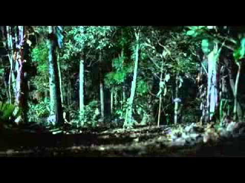 Platoon 1986 Final battle scene with Charlie Sheen