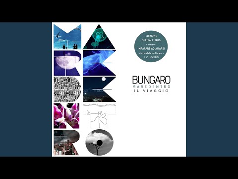 A me non devi dire mai