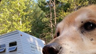 Forced to Move Campsites… Why RV Life Is Still Easier Than the City
