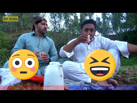 Baran Na Patedam Nawe Lande Me Shpa Shwa Funny Video By PK Vines 2019 PK TV Video