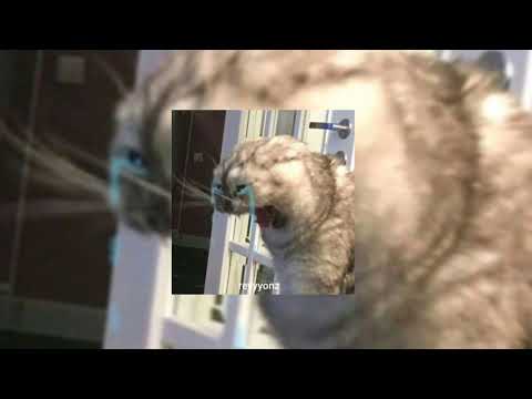 cameron dallas - she bad (speed up)