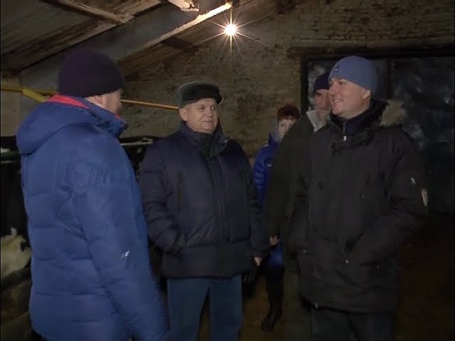 Продуктивность животноводства