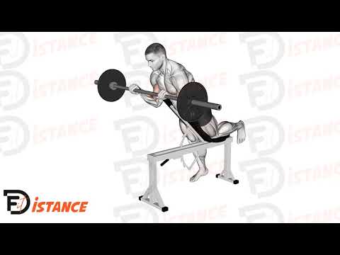 Exercice Curl spider pronation avec barre droite