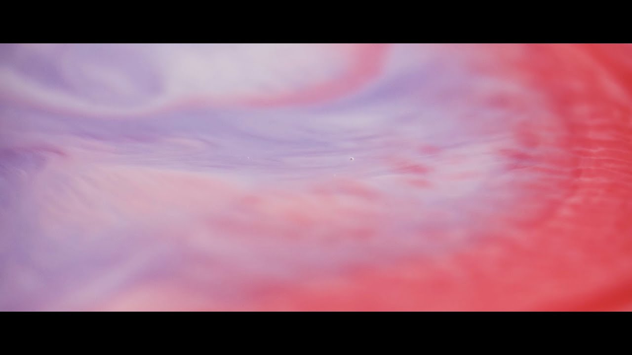 胡蝶蘭 / 神はサイコロを振らない