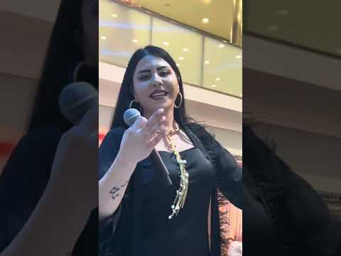 DİLAN ROJAVA – SEGAVİ HALAYI 2024 #halaylar #halay #düğün #kürtçemüzik #kurdish