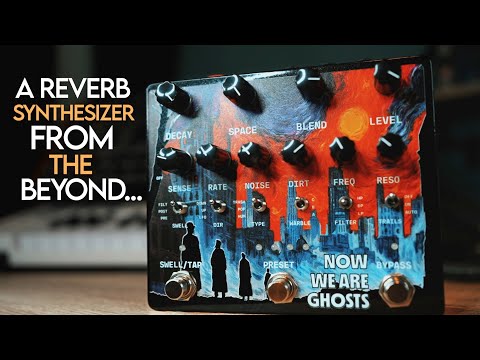 Alexander Pedals Now We Are Ghosts Reverb Pedal image 2