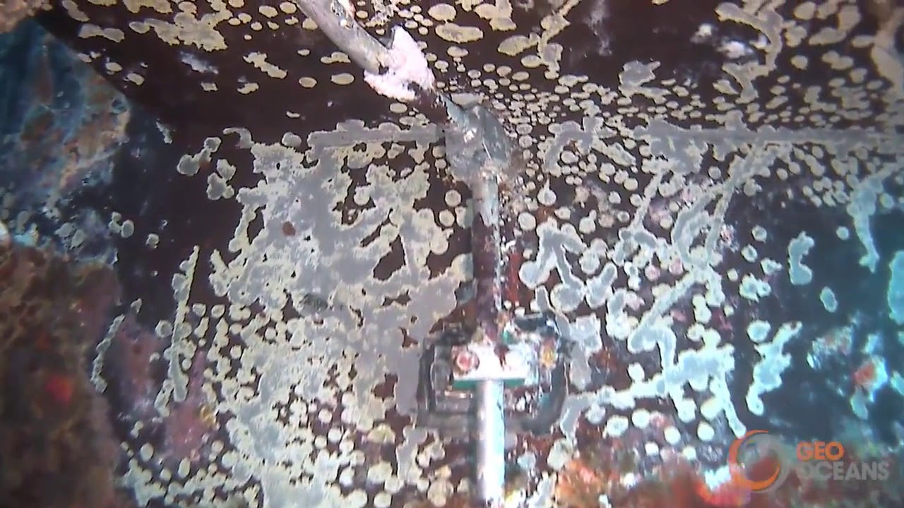 Asset deployed ROV Cleaning Capabilities