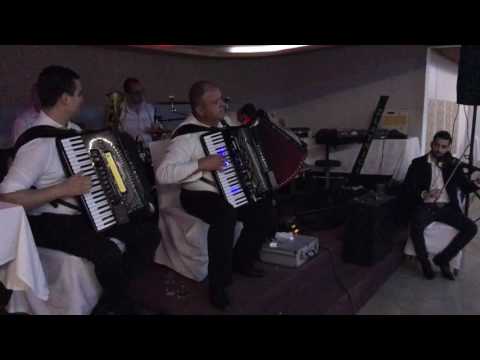 ZLATNICI,Nesa Trapa,Milos Markas - kolo za kraj, 2017 (ambient sound)