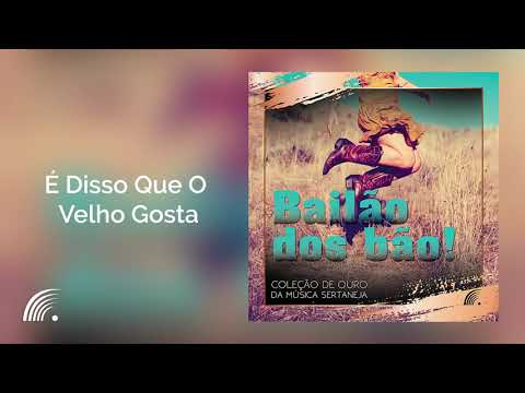 Gaúcho da Fronteira - É Disso Que O Velho Gosta - Bailão dos Bão