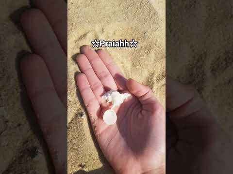 :D #nnflopa #praia #viagem #guarapari #espiritosanto #fyp