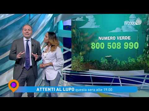 "Attenti al lupo" - "Integratori" martedì 11 febbraio alle 19 su Tv2000