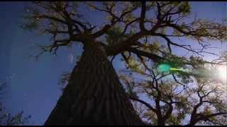 hinduism  "the art of space." by coyote sky.