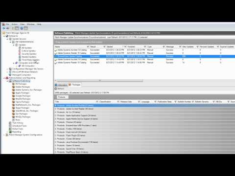 Patch Compliance Reporting: Detect & Patch Known Application Vulnerabilities
