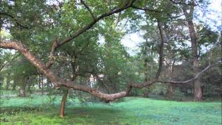 Casualties of Cool - Devin Townsend -  Moon