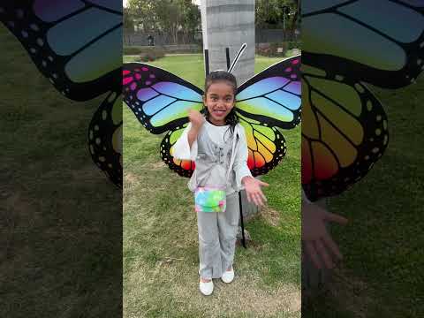 amaira ka butterfly song🦋🦋#amairagurjar #shorts