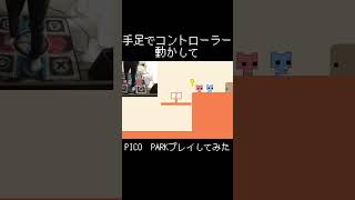 手足で協力しながらPICO PARKプレイしてみた#shorts