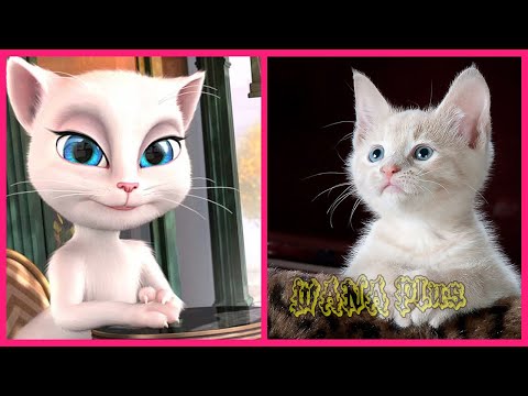 Talking Tom and Friends In Real Life 👉@WANAPlus