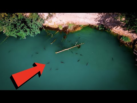 HIER IST ALLES VOLL MIT FISCH! Karpfenangeln in zwei Ländern #Angelfrager