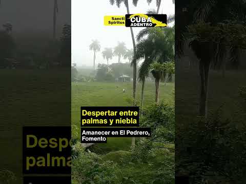 CUBA ADENTRO | Despertar entre palmas y niebla: amanecer en El Pedrero