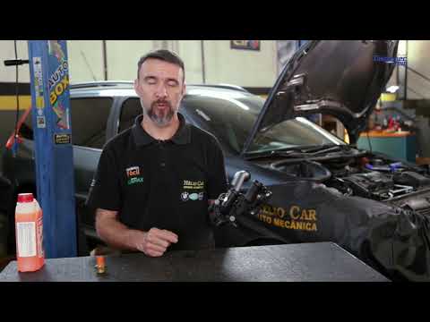 Learn all about onions I Easy Mechanics