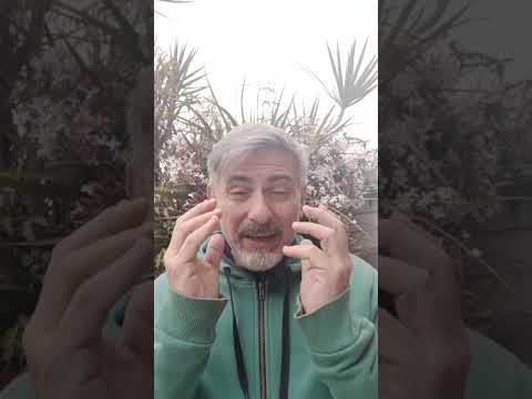 Evangelo de Jesuscristo con el Padre Fabian Esteban Oliva. 08/09/26.  Segunda Parte