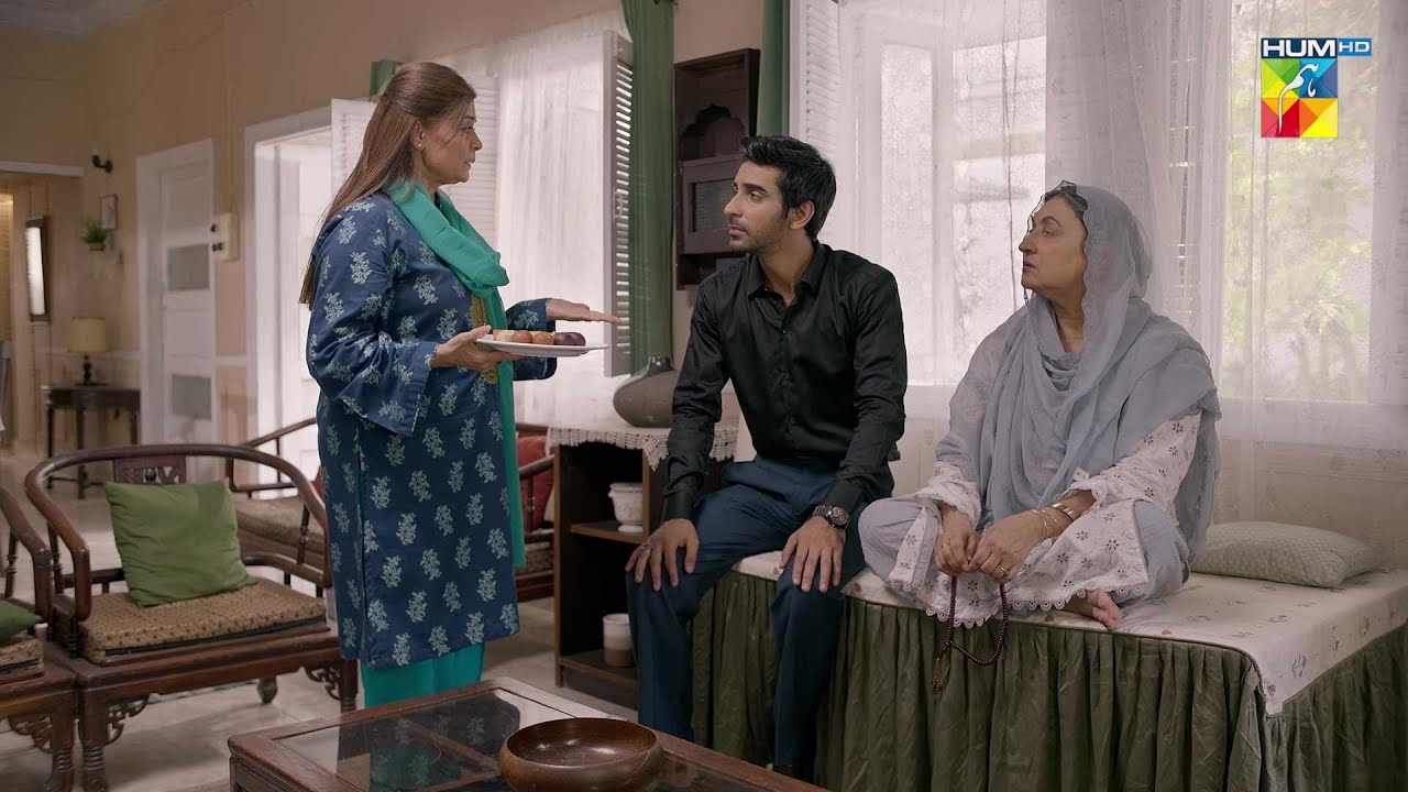 Es Ghareeb Ki Toh Ghar Mein Koi Izzat Hi Nahi...!! #daamemohabbat - HUM TV