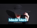 Maula Mere Maula Slowed Reverbed Lofi World Music 3 O