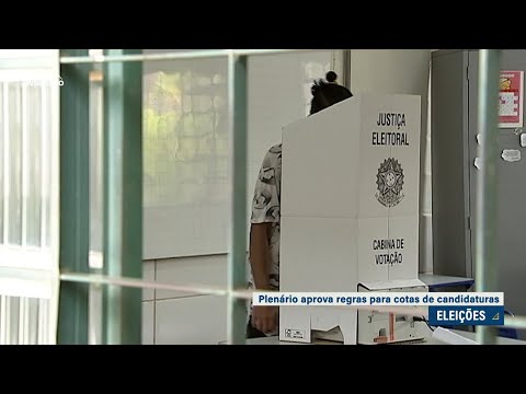 Plenário aprova novas regras para cotas em candidaturas