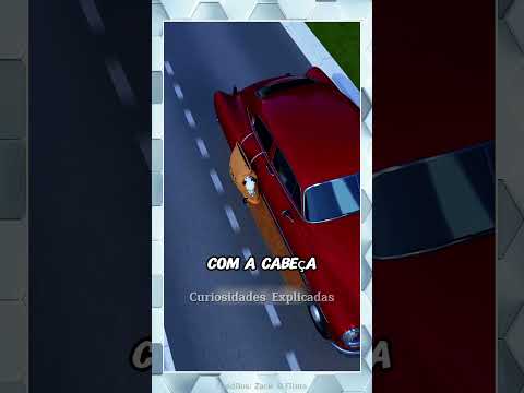 O Jeito MAIS PERIGOSO Que Já Levaram Cães em Carros ⚠️