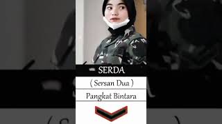 Download lagu pap random pangkat TNI AD #shorts #tni #storywa mp3