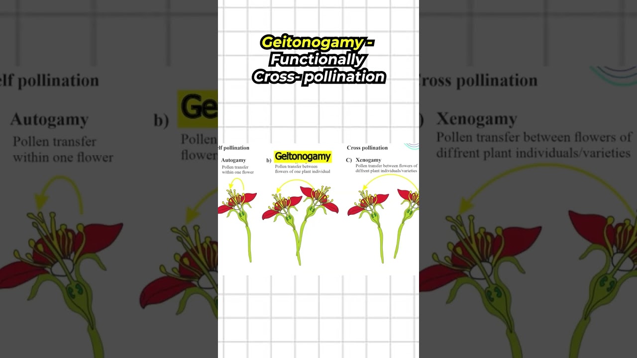 Pollination | Sexual Reproduction in Flowering Plants #neet #shorts #biology