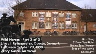 Wild Horses - Rytmeposten 1998 - Jerry Garcia Memorial (3-3)