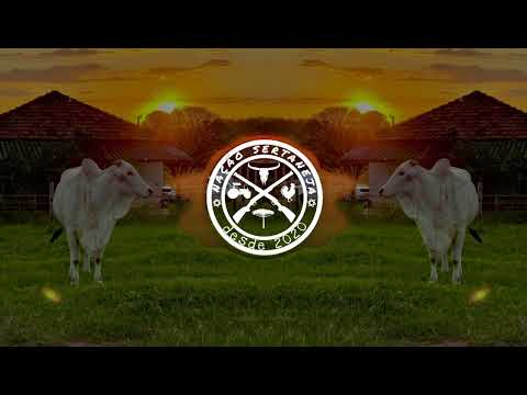 João Nelore & Texano, Us Agroboy - Tipo Nelore
