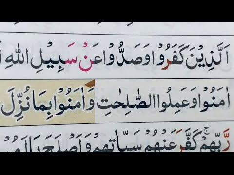SURAH MUHAMMAD AYAT 1-19  BAROKAH BACA INI