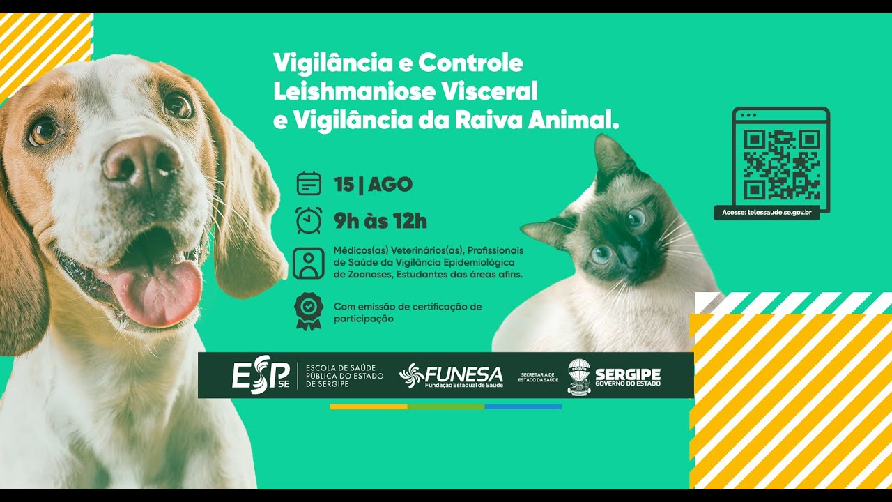 Atualização nas Diretrizes do Programa de Vigilância e Controle Leishmaniose Visceral e Raiva Animal