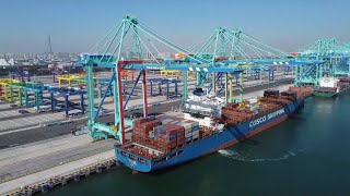 GLOBALink | Otwarcie pierwszego na świecie inteligentnego terminala zeroemisyjnego w chińskim porcie Tianjin