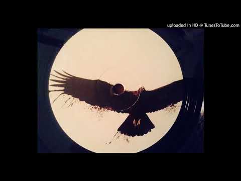 Iron Curtis - Stranded