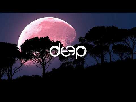 Mahalo x DLMT - So Cold (ft. Lily Denning)