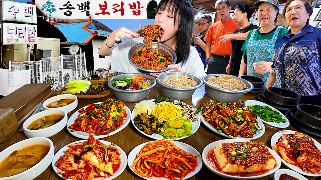 먹방하다가 사장님한테 혼났습니다..😥 여주 송백보리밥 비빔밥 먹방