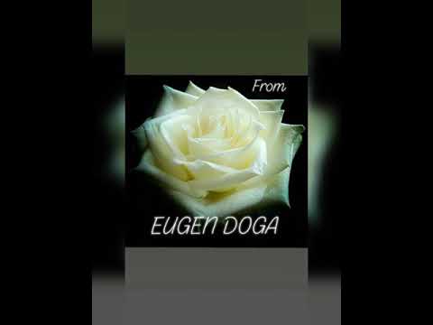 Waltz of Roses from Eugen Doga.