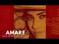Amare Ella The Bossa Beat With Toco Lyric Video Collage