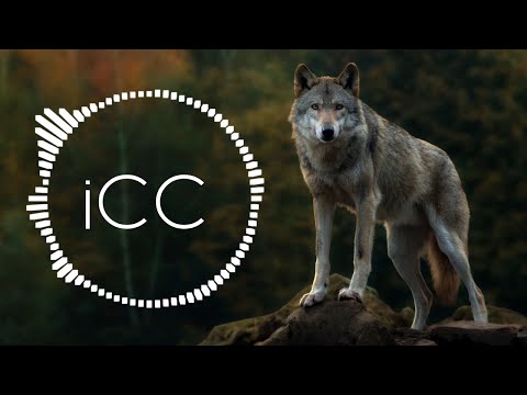 TrendBeats - Share It  | [iCC Release]
