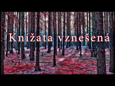 Svatobor - SVATOBOR - Knížata Vznešená (VIDEO S TEXTEM)